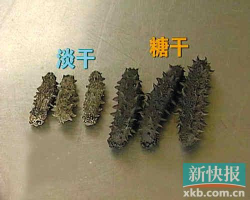 淡干海参与糖干海参的外形区别。(央视截图)个头偏小的淡干海参呈灰褐或黄褐色,干硬不易弯,且无甜味。卖相好的糖干海参味道发甜,颜色乌黑,且容易弯曲。