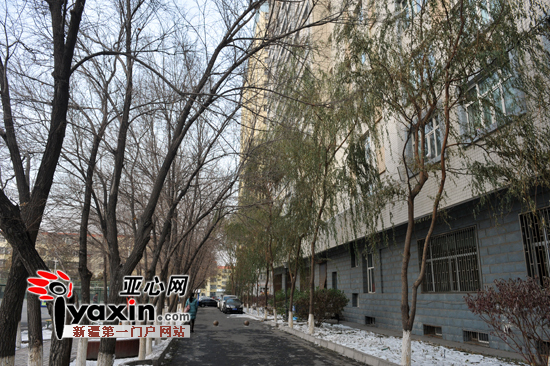 图为 16日17时32分,刘雪跳楼的四公寓背后。亚心网记者 李瑞 摄