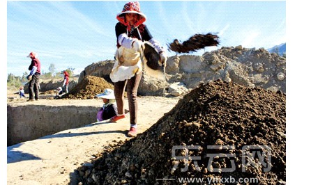 考古发掘现场,工作人员正在清理泥土。