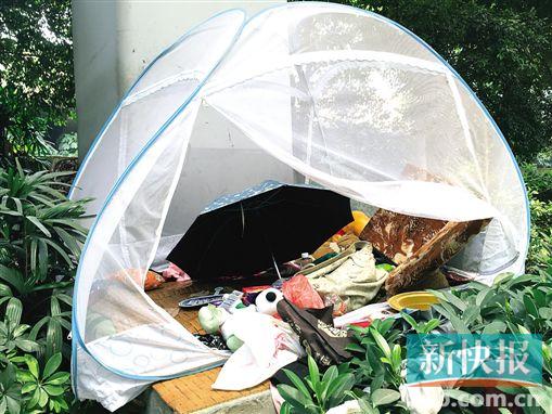 小鱼的蚊帐堆放着布娃娃等物品。