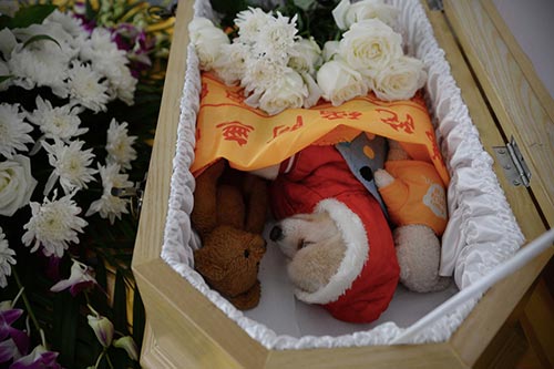 这是一只9岁的宠物狗，它和几只玩具静静地躺在迷你棺材中。
