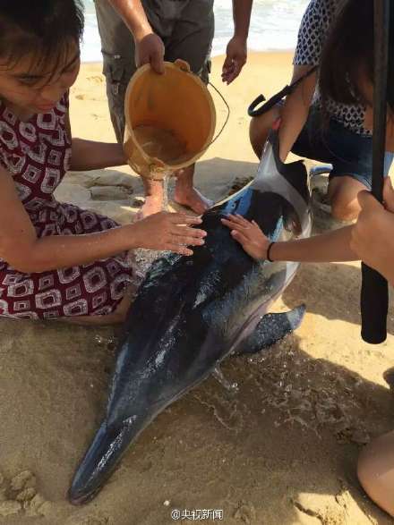 提来海水浇身