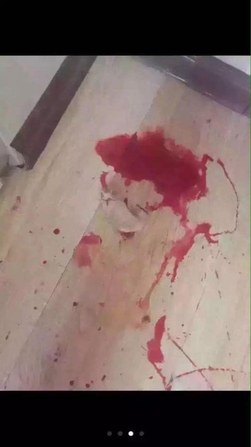 长春虐狗事件刷爆朋友圈