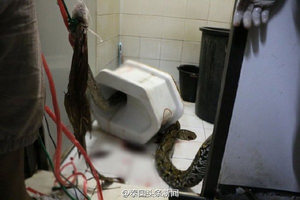 图片来源于网络