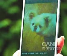 7月29日上午,成都的夏师傅在一小区送完装修材料后准备开车离开时,不慎将小区内的一条小狗碾死,随后遭到狗主人殴打。夏师傅称,期间自己还被逼给小狗下跪,这让他的人格受到侮辱。