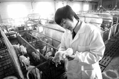 女民警转岗成“猪倌”教授服刑人员新技能