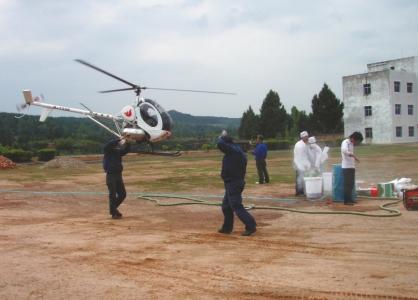 出动直升机为古柏喷洒杀虫药。