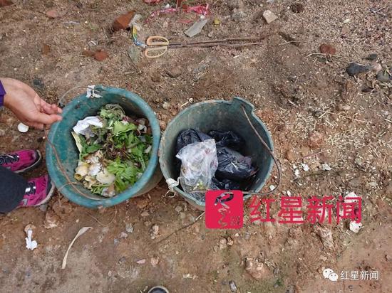 ▲村里每家的垃圾被要求分为可沤和不可沤两个桶 图片来源:红星新闻