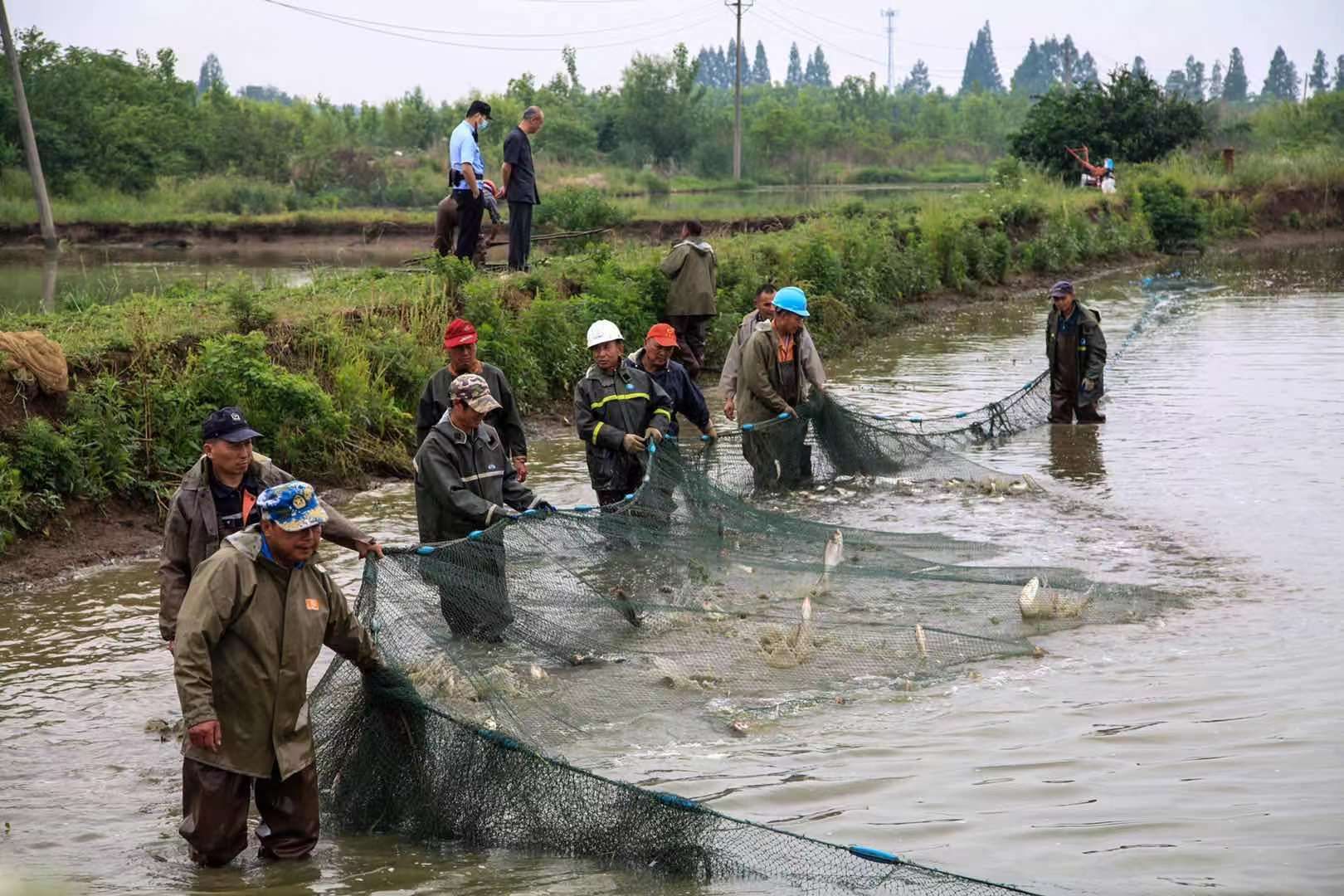 承包30亩鱼塘,却拖欠租金4万余元,还一拖9年.