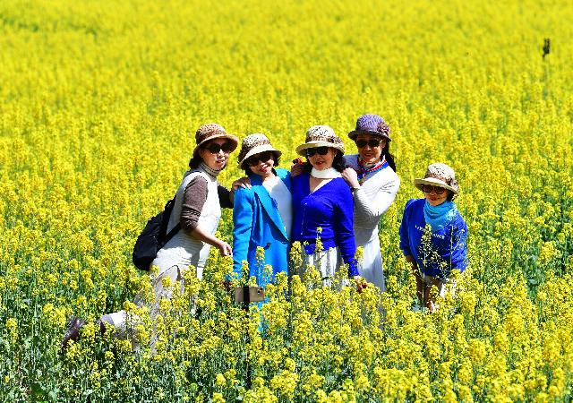 邓红英：智能养老，人才培养是关键
