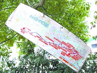 武汉现“最简陋公交站” 导乘图挂树上充当站牌