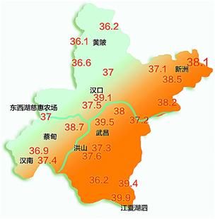 图为:7月31日14时武汉部分监测点温度数据示意图 制图:徐云