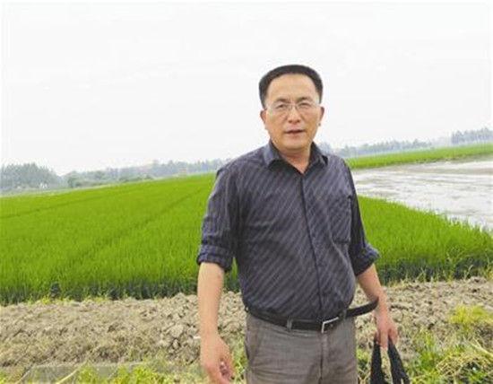60万斤土豆被武穴一村村民盗挖 老板不想再投资