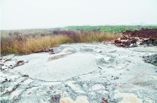 湿地上的水塘被废水废料覆盖后成了水泥塘