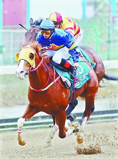 2000多马迷冒雨观战武汉速度赛马画上圆满句号