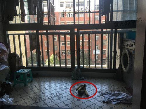 边偷边吃香蕉,发现没熟转手扔掉!这个小偷是来搞笑的么?
