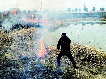 武汉一高压线下野草失火 城管员抡铁锹扑救(图)