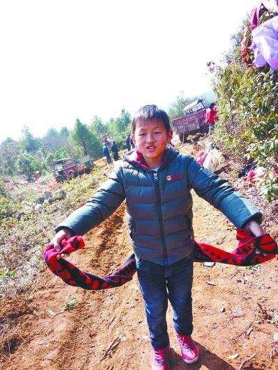 男孩逃出全封闭学校失联22天 吃剩菜睡“僵尸车”