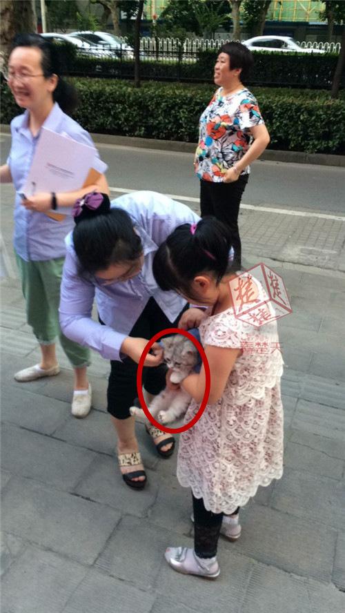 无人机算什么?武汉小伙求婚成功只靠一只猫