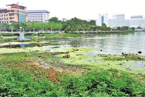 武汉紧急抽排腾出湖泊库容 迎战12日后下一轮降雨