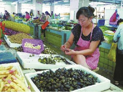 武汉荷塘三宝身价大跌 上市期里恰遇雨天(图) 武汉荷塘三宝身价大跌 上市期里恰遇雨天(图)