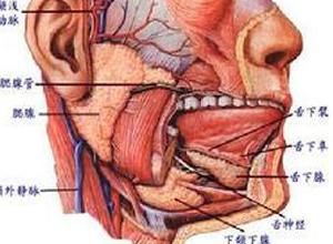 30年男子一吃饭就下巴鼓大包