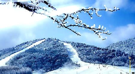 嗨~冬季到湖北来看雪!冬游湖北成旅游济新亮点