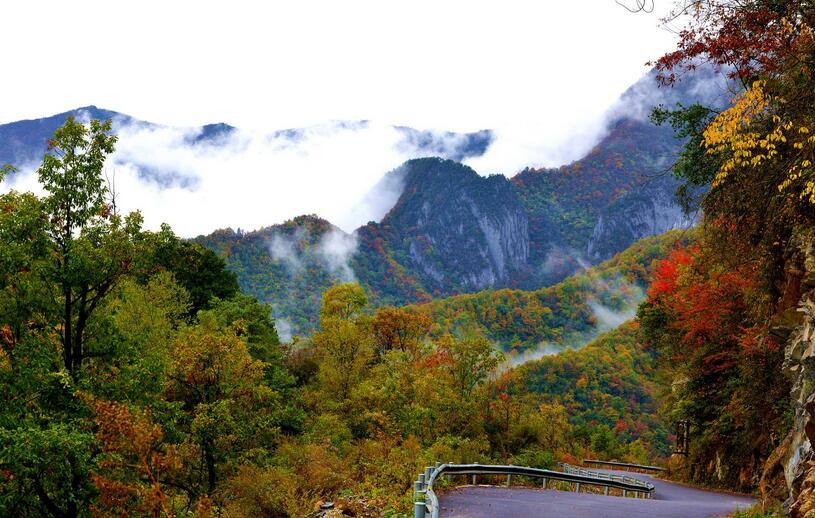 武汉收入排名_春节各省旅游收入排行榜出炉湖北跳涨十三名排第三