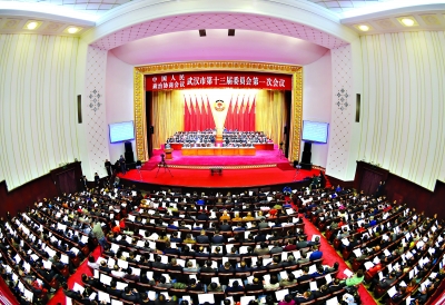 政协武汉市第十三届委员会第一次会议开幕 陈