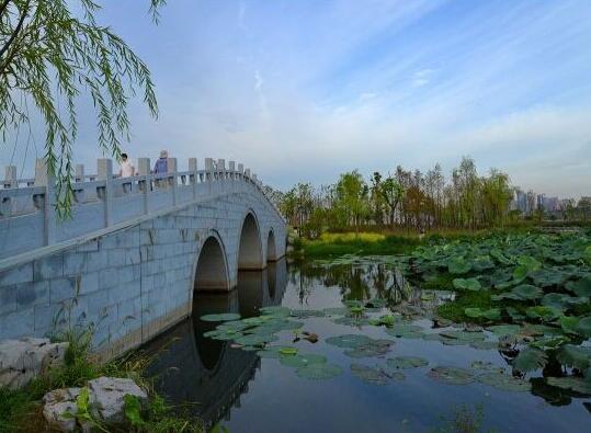 自然教育基地落户沙湖公园 邀孩子们相聚水科普课堂