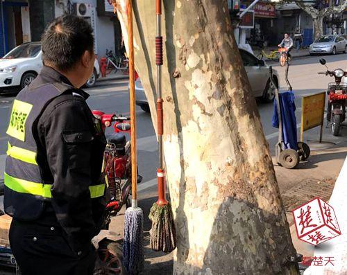 城管为134棵行道树“松绑” 损伤树木最高罚一千