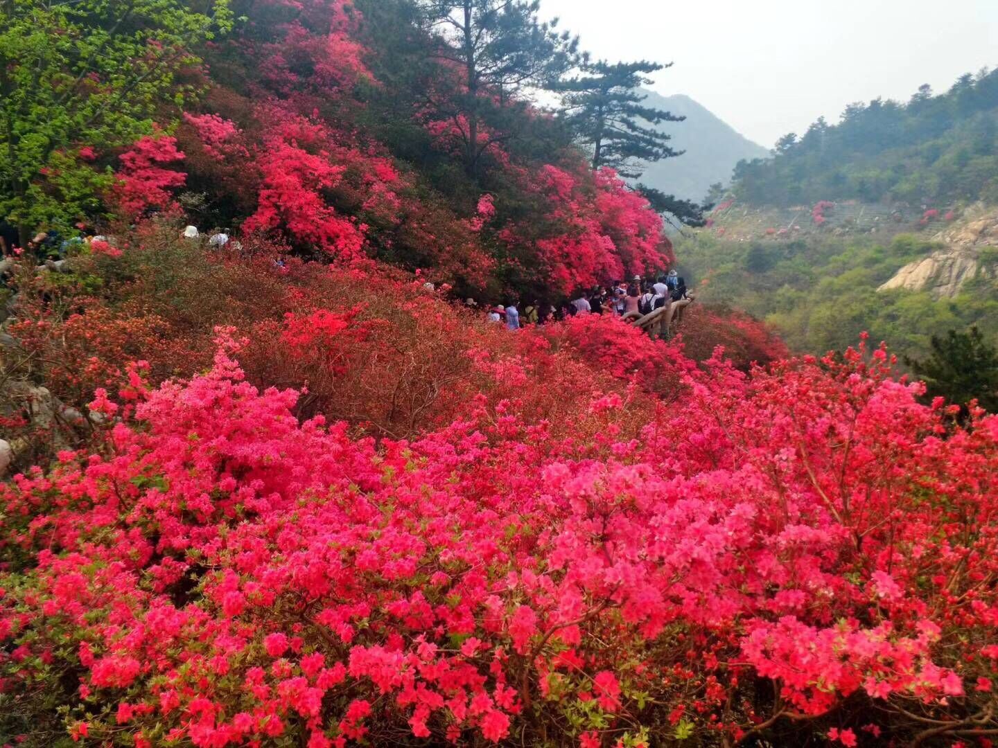 木兰云雾山景区发布旅游红色预警 游客已近30000人