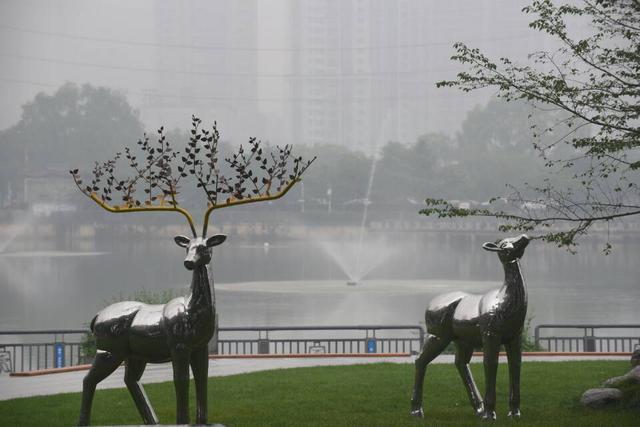 江城下午雨雾弥漫，专家解释：水汽饱和风力弱