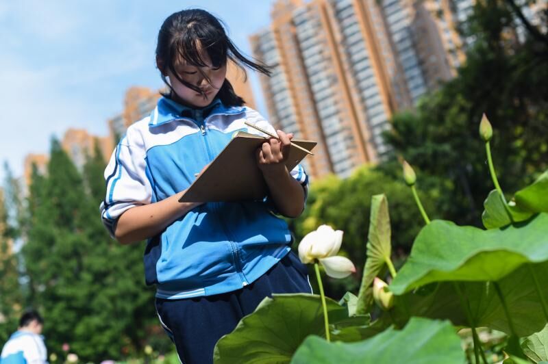 中学生观察睡莲1小时:睡美人会真睡