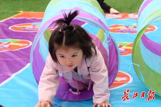 武汉这个区评出2019年“十佳健康宝宝”