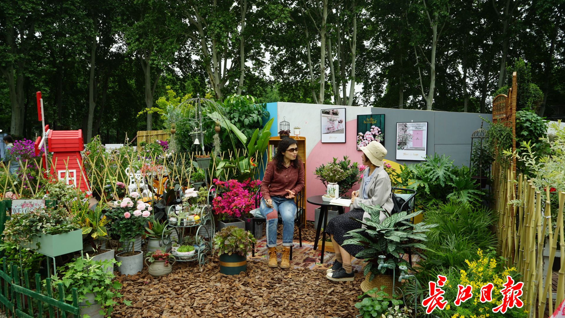 武汉家庭园艺展开幕:市民设计布置,有近300种奇花汇聚