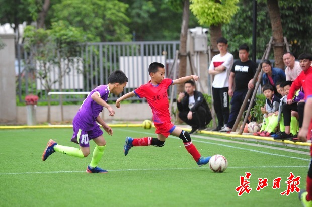 不错过足球苗子，武汉这个区将为孩子们监测运动基因