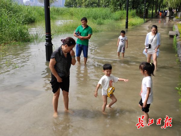 伏天清凉乐丨图集