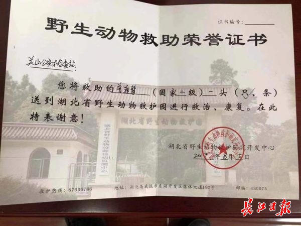 点击查看高清原图 点击查看高清原图