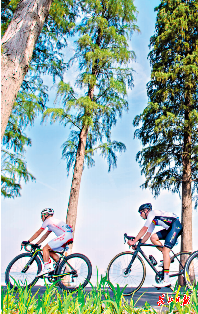 军运会男子公路自行车赛，运动员在东湖绿道骑行竞技。记者胡九思 摄