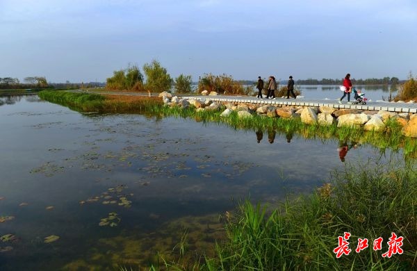 美!杜公湖国家湿地公园已现雏形,武汉又将多一个网红打卡点!