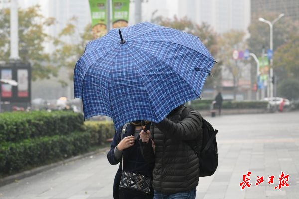 冷风冷雨降温天