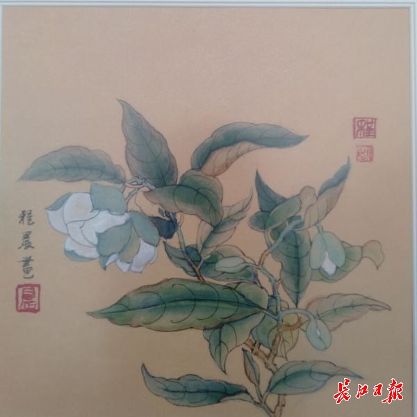 临摹宋代20幅工笔花鸟画，武汉高中生花半个月完成“生命礼赞”_武汉_新闻中心_长江网_cjn.cn