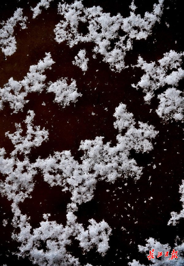 大雪纷飞丨图集