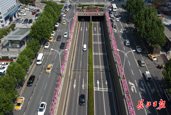 武汉街头花带 | 图集