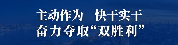 科技创新：“全链条”创新催生新兴产业集群，深圳“头部企业”全面领跑，新锐企业多点开花，中小企业雨后春笋