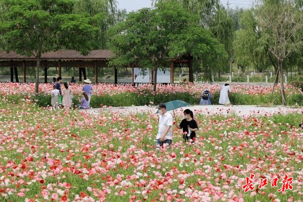 预约限流、巡回提醒，武汉景区疫情防控不放松