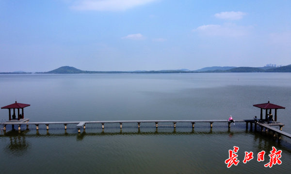 微乐贵阳捉鸡麻将有挂吗_初夏的东湖碧水蓝天,绿意盎然 | 图集插图(7) 微乐贵阳捉鸡麻将有挂吗_初夏的东湖碧水蓝天,绿意盎然 | 图集插图(7)