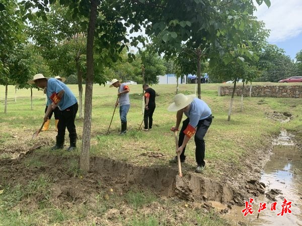 桐仁多少人口_博社村人口多少