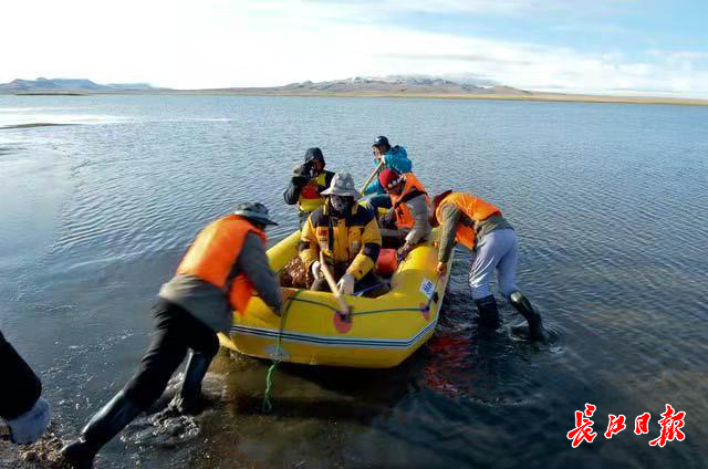 “大江大河大征途”手记⑦：武汉志愿者奔波3000余公里，守护全球飞得最高的鸟儿